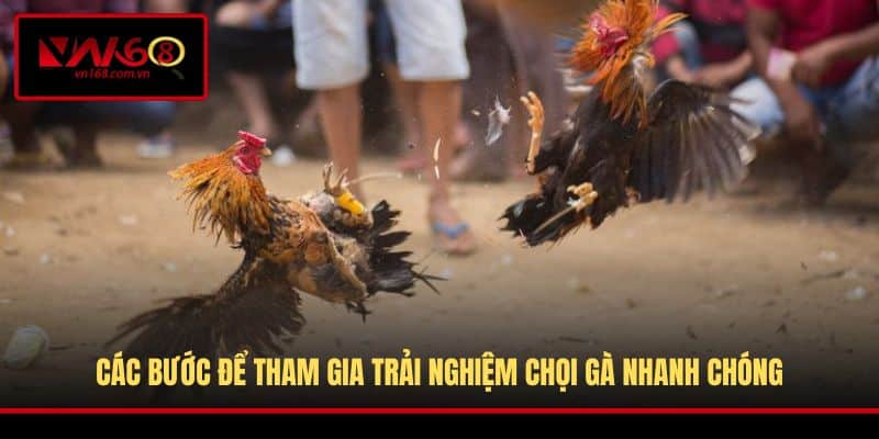 Các bước để tham gia trải nghiệm chọi gà nhanh chóng