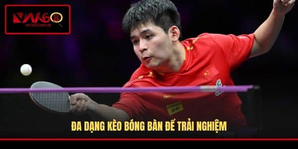 Đa dạng kèo bóng bàn để trải nghiệm