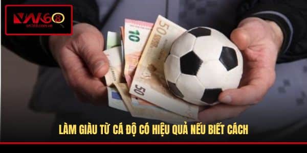 Làm giàu từ cá độ có hiệu quả nếu biết cách