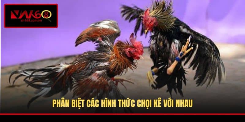 Phân biệt các hình thức chọi kê với nhau