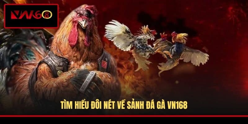 tim-hieu-doi-net-ve-sanh-da-ga-vn168